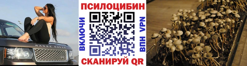 купить   Сосногорск  Галлюциногенные грибы Psilocybine cubensis 